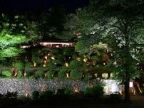 「物語に出てきそう！」長岡市の日本庭園「楽山苑」期間限定ライトアップ　与板が誇る豪商の別荘と新緑が競演、5月26日まで