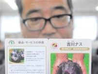 吉川ナスに限定カード　福井県鯖江市の伝統野菜、地団カード完成　限定1500枚配布