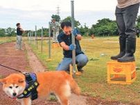魚津・早月川緑地公園にドッグラン整備　１６日利用開始、愛犬家ら柵設置に協力