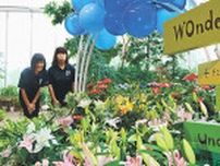 夏の花 鮮やか　砺波・チューリップ四季彩館で季節展示