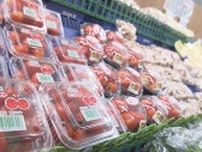 トマトやきゅうりなど７割が…厳しい残暑　野菜の値段に異変　広島