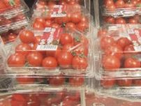 フレスタ自社農場のミニトマト販売開始　糖度８度以上　広島