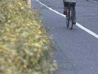 軽自動車の窓から女性のトートバッグをひったくった疑い　自称・自営業の男を送検　広島市