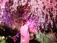 【3/30・31】世羅高原農場「さくら祭り」で2日間限定の“夜桜ライトアップ”開催