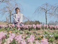 世羅高原農場「さくら祭り」。ピンクと黄色の春の花々が共演