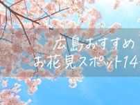 【2024年度版】広島県の桜名所・お花見おすすめスポット14選
