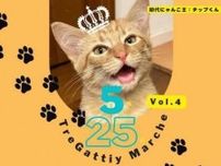 【5/25】LECTで「保護猫チャリティ TreGattiy Marché Vol.4」開催！