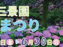 【6/7〜30】三原市で「第28回 三景園 花まつり」開催！約1万株のアジサイが梅雨の庭園を彩る