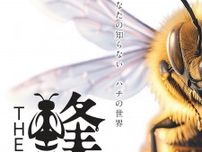【7/13〜】島根県大田市の島根県立三瓶自然館サヒメルで「夏の企画展　THE 蜂」開催。あなたの知らないハチの世界