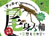 【7/26〜】三原市芸術文化センター ポポロで「尾身大輔 −空想と虫かご−」開催。デッカイ木彫りの虫たちがやってくる！