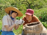 阿部サダヲと菅野美穂が、リンゴの無農薬栽培に挑戦した夫婦の絆を好演！ノンフィクション書籍を基にした映画「奇跡のリンゴ」