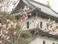 「最高ですね、春が来た」北海道に桜前線上陸！平年よりも11日早く　列島縦断の前線の旅もあと少し！