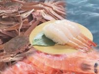 回転寿司店も悲鳴　イワシやオオズワイガニ大漁の一方でエビ不漁　かつて日本一誇った水揚げ量も減り続け…
