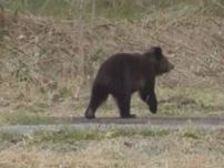 【速報】ハンターら　子クマ1頭を駆除　18日から目撃された個体と同一個体と断定　北海道・名寄市