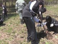 中学生らがスコップを手に植樹　250本のカラマツ　北海道・平取町