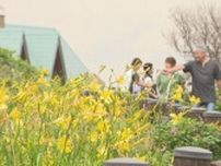 フラワーアドベンチャーフェス　　小清水町の小清水原生花園で　見頃を迎えた花を楽しむイベント