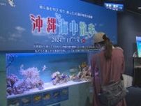沖縄の海の生き物が北海道に　　開館30周年を迎える千歳水族館で特別展開催中　