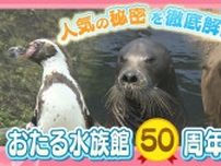 トドのダイブに自由すぎるペンギンショー　半世紀迎えた「おたる水族館」が道民に愛され続けたワケとは？　