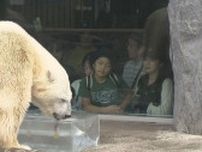「暑さしのいで」地元企業が動物たちに氷のブロックプレゼント　北海道・旭山動物園