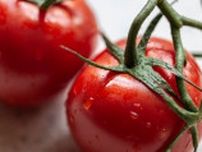 【トマトを食べるならこれ！】超簡単なのに旨みがじゅわっと広がる。畑一面分のトマトで作りたい絶品レシピ