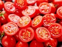 【トマトを丸ごとペロリ】10分以内に作れる！トマトの大量消費にもぴったりな簡単レシピ3選