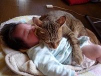 「16年目も一緒に」闘病中の飼い猫と娘の絆が熱すぎた⇒15年前と比較した現在の様子がこちら