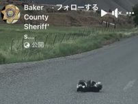 なんだこの生き物は...モコモコ集団が「巻き巻き」しながら道路横断。米保安官事務所のビデオにほっこり