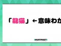 「龍猫」←意味、知ってる？世界中のファンから愛される日本のあのアニメ映画（2024年上半期回顧）
