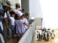 行方「動物園」オープン　19種80頭　カピバラやペンギン　茨城