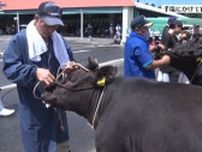 畜産農家が手塩にかけて育てた牛の体の大きさや美しさを競う　江刺家畜共進会