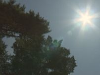 一関で猛暑日手前の34.0度　今年1番の暑さに　34観測地点中23か所で真夏日を観測　盛岡は31.5度　「小暑」の岩手