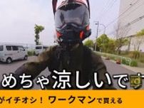 【ワークマン】「コーデュラユーロ3Dメッシュジャケット」は夏のバイクも涼しい！ライダーのレビュー紹介