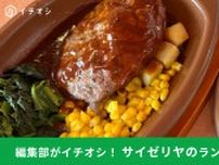 サイゼリヤの「ランチメニュー」は500円から食べられてお得！コンビニ弁当よりコスパいいでしょ！