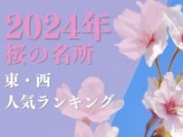 【2024年最新版】全国「桜の名所」ランキングTOP10｜東日本1位：高遠城址公園（長野県） 西日本1位：吉野山（奈良県）｜成田市さくらの山（千葉県）も絶景！旅のプロ厳選ツアーも！