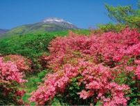 【絶景！】栃木県那須町（なすまち）、赤やピンクのツツジと新緑が彩る初夏の茶臼岳【ほっとphoto便り】