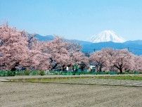 【山梨県の大人気のまち】地方創生にいち早く着手。生活環境を磨いて20年以上人口増！【山梨県昭和町】