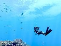 潜る度に違う表情を見せるベールド海…『フォーエバーブルー ルミナス』で海洋生物と触れ合って、一期一会のダイバーと泳ぐ【プレイレポ】