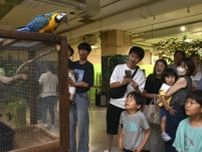 津松菱で「夏のジャングル展」始まる　オオトカゲや世界最大のインコ登場　三重