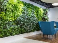 自然光に観葉植物……「自然を取り入れたオフィス」がはやる、納得の理由
