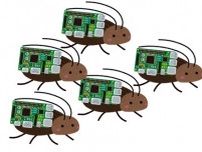 “サイボーグゴキブリの群れ”をコンピュータで操作　阪大らがナビシステム提案