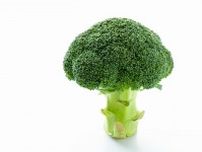 “国民的野菜”になるブロッコリー 「筋トレだけではなく、寝たきりの防止にも期待」と栄養士指南