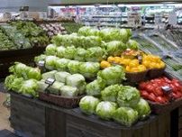 「丸ごと冷凍なら3カ月保存できる！」値上がり野菜をおいしく使い切る冷凍術14