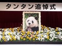 タンタンありがとう、忘れないよ　10日、神戸市立王子動物園で追悼式　飼育員「頑張り屋で賢い子」　