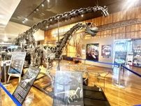 地球上最大の陸上生物「竜脚類」に迫る夏季特別展！　兵庫・丹波竜化石工房　マル秘フォトスポットも