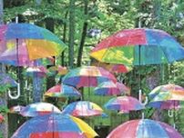 【動画】虹色の傘が林間彩る　群馬・高山村で「レインボーアンブレラスカイ」