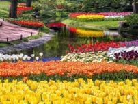 絵画の中にいるみたい...　昭和記念公園の「圧倒的な春」は今が見ごろ