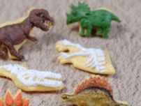 身近なお菓子から「恐竜」復元される　博物館に収蔵されるレベルだろ...