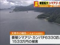 シマアジなど6330匹1500万円 八代海で赤潮被害が拡大