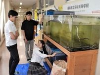 高校生がウナギ養殖に挑戦　福島・安積高の有志が成魚を販売、収益化目指す　