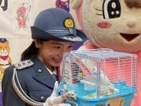 俳優の入来茉里さん一日署長　テレビ出演のあるインコ「ぴっちゃん」と事故防止啓発